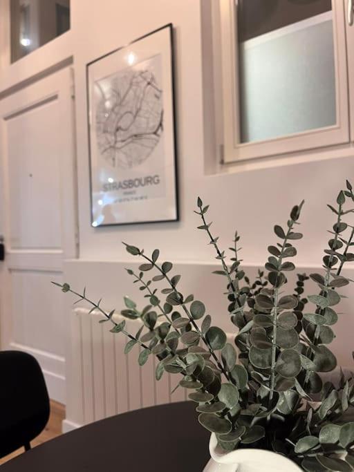 Le Fournil-luxueux Duplex En Petite France Appartement
