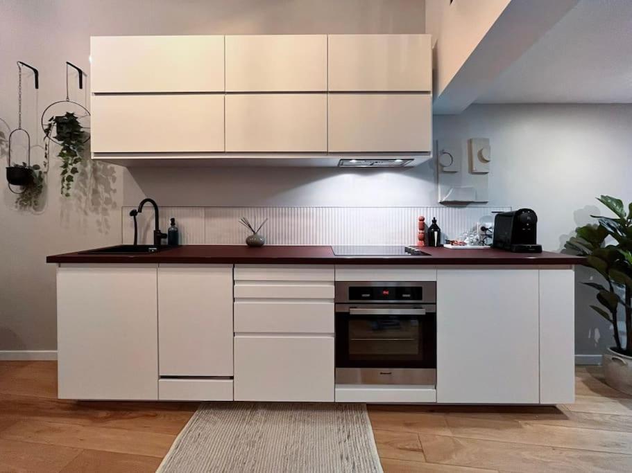Le Fournil-luxueux Duplex En Petite France *